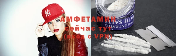 ешки Вяземский