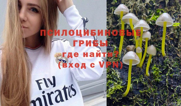 ешки Вяземский