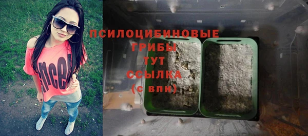 ешки Вяземский