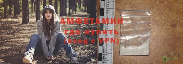индика Верхний Тагил