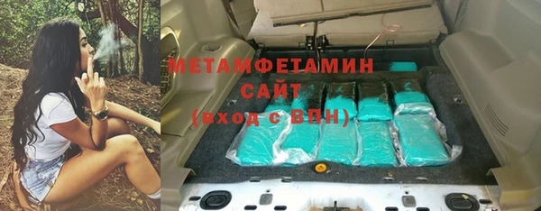 ПСИЛОЦИБИНОВЫЕ ГРИБЫ Горняк