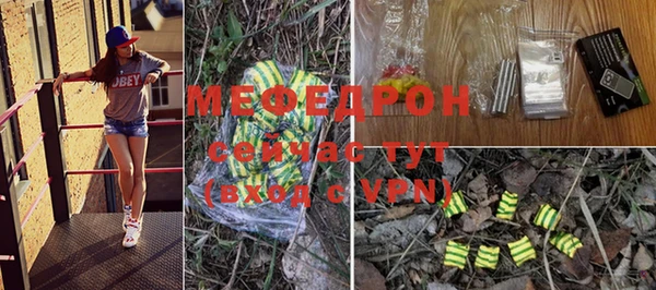 ешки Вяземский